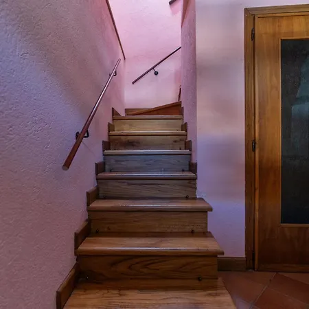 Excenex أَويستا