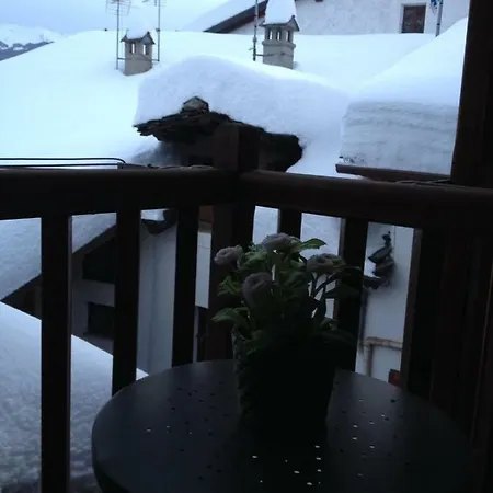 Excenex אאוסטה